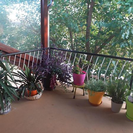 Apartmani Corleone بيليس المظهر الخارجي الصورة